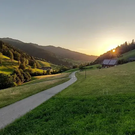 Apartamento Irgendwo Im Schwarzwald Elzach Exterior foto