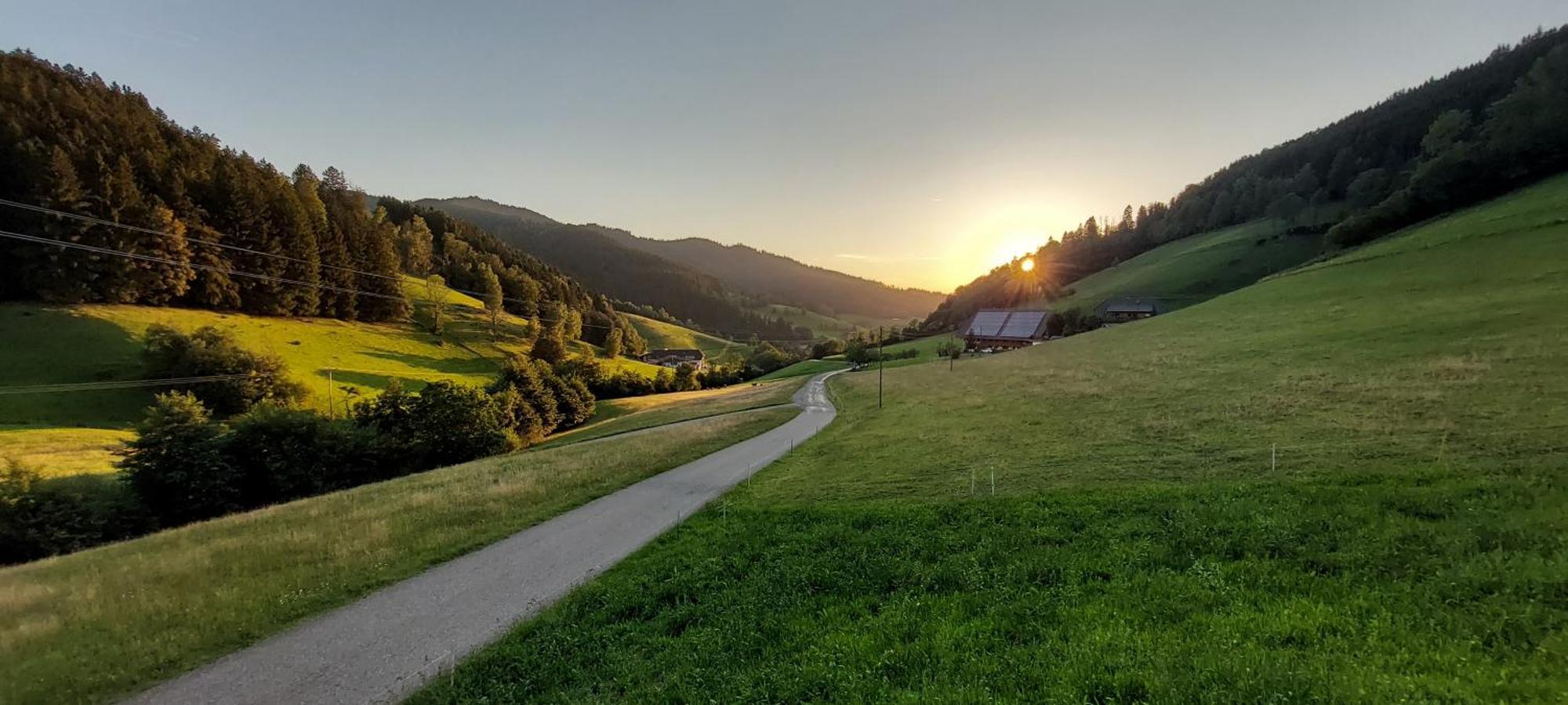 Irgendwo Im Schwarzwald Apartment